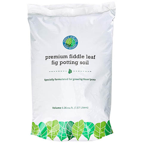 Fiddle Leaf Fig Plant Food Soil