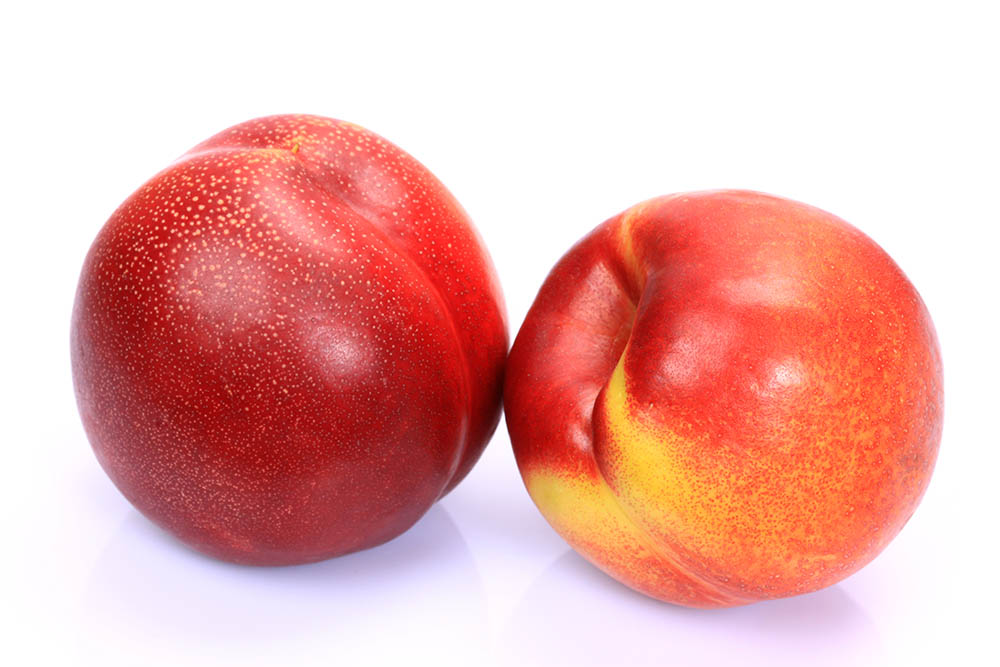 Fire Sweet Nectarine