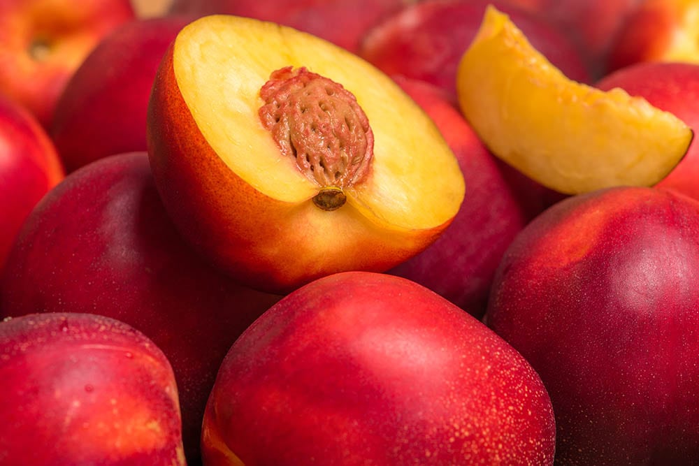 Fire bright nectarine