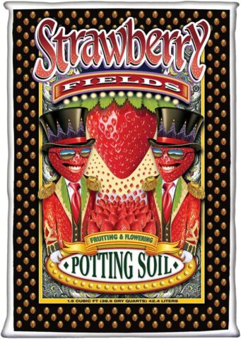 FoxFarm Strawberry Fields Flowering Garden Potting Soil