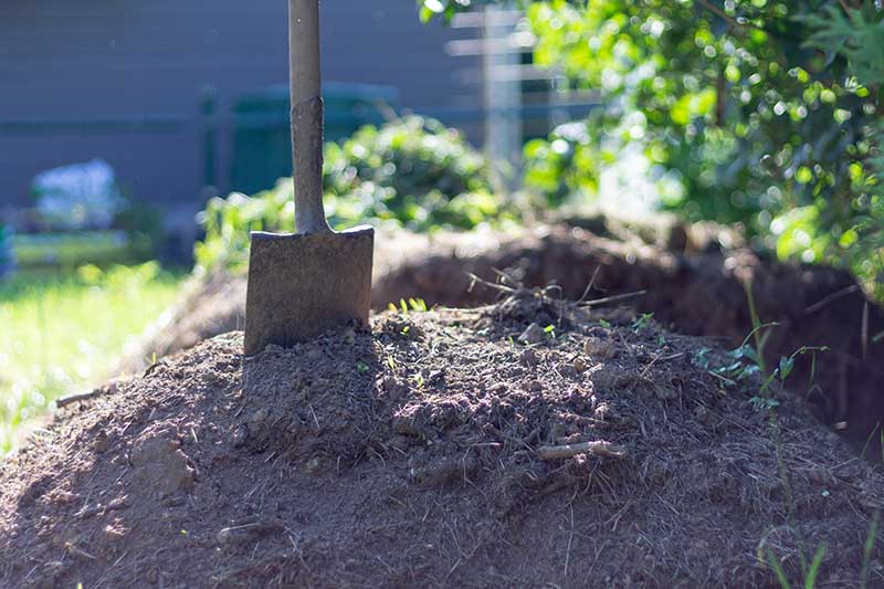 Garden shovel on compost. Freshly composted earth from compost bin. nutrient rich vegetables converted to soil