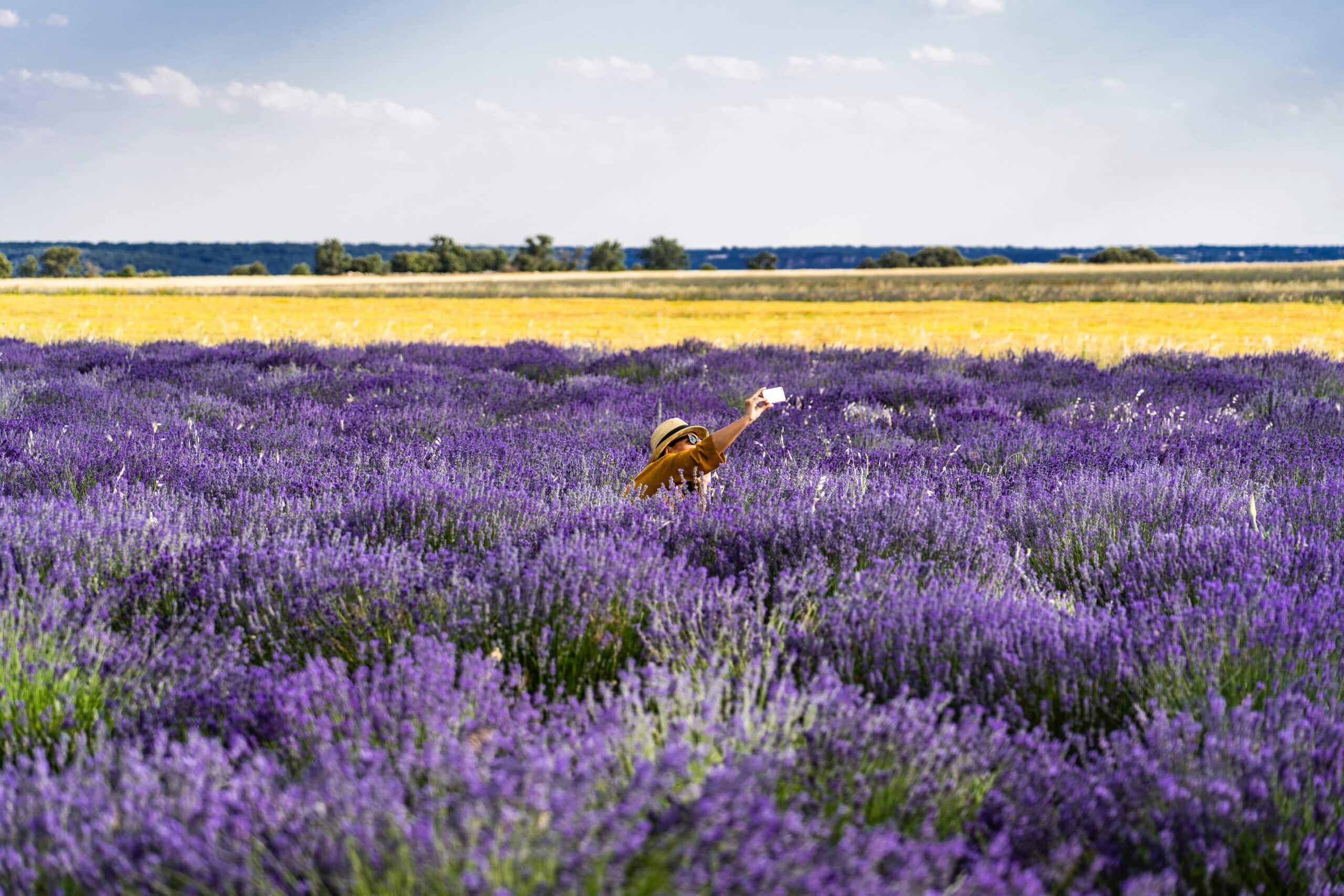 Grappenhall Lavender
