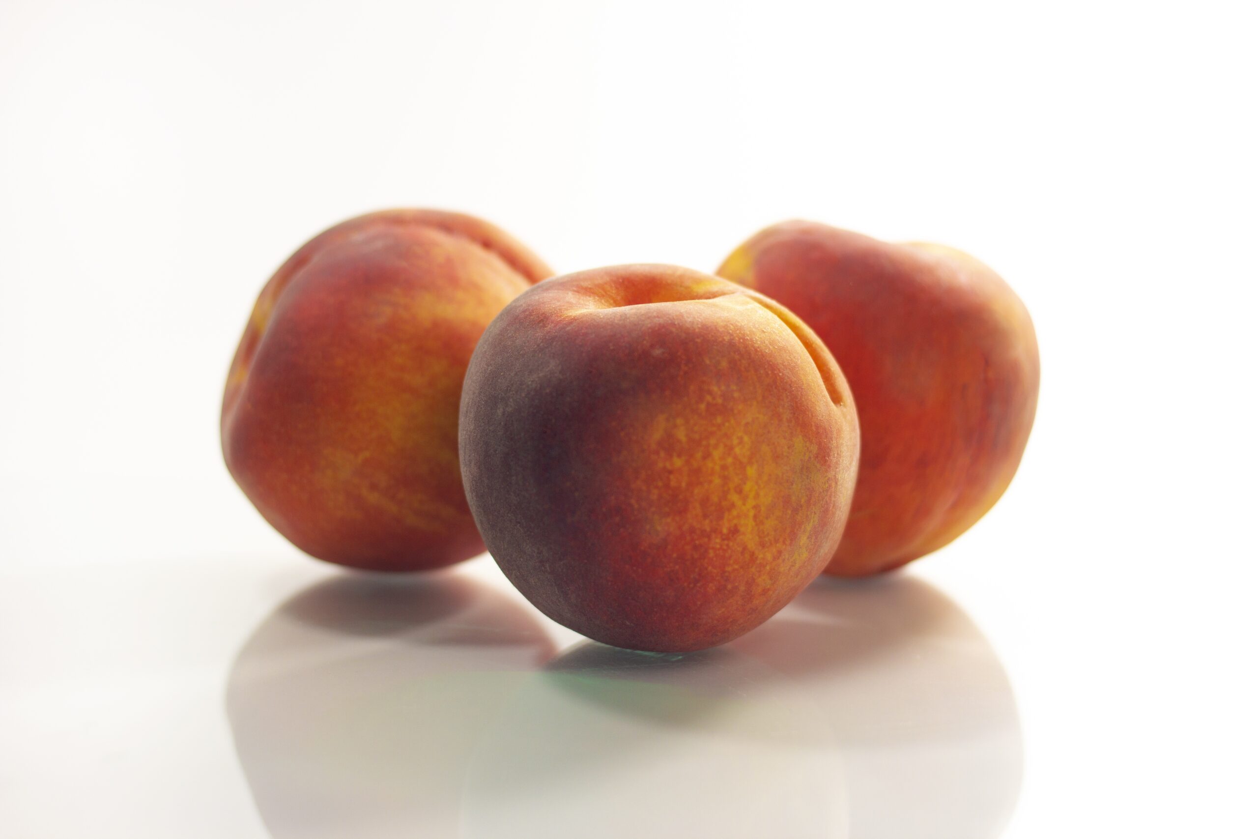 John Rivers Nectarine