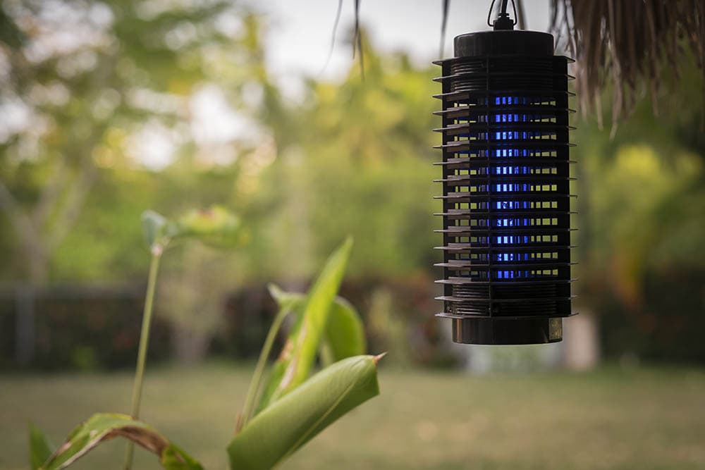 Blue lamp mosquito trap