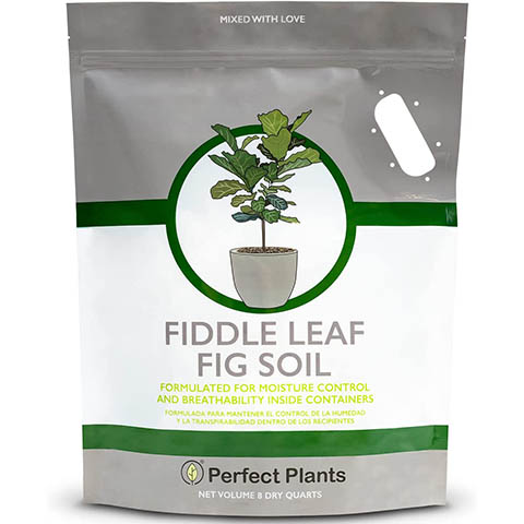 Perfect Plants Fiddle Leaf Fig Soil