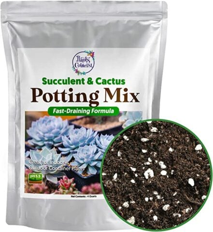 Plants Colorist Organic Potting Soil