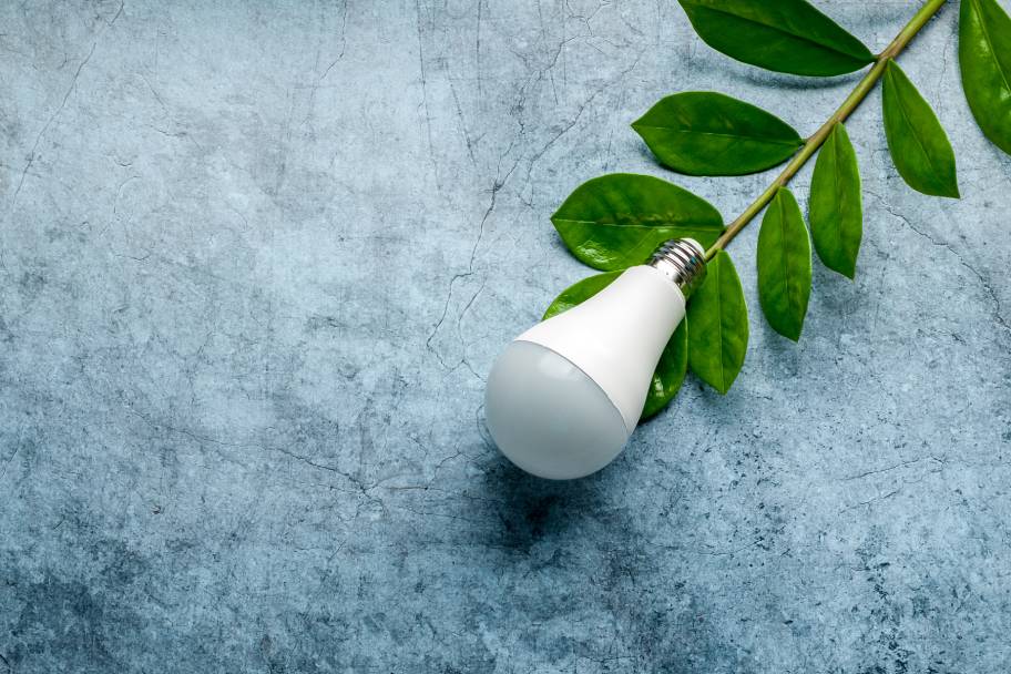 Plants with LED Light