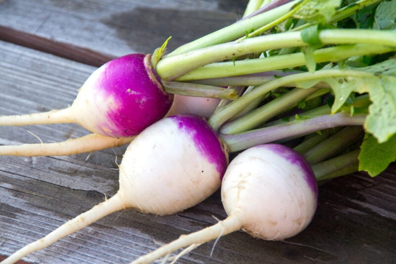 Purple-Top Turnips