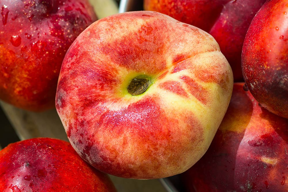 Red june nectarine
