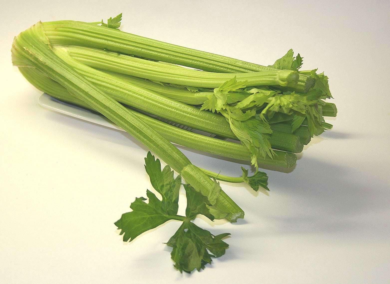 Safir Celery