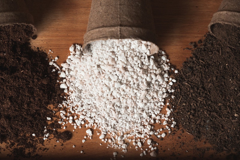 Soil and Perlite