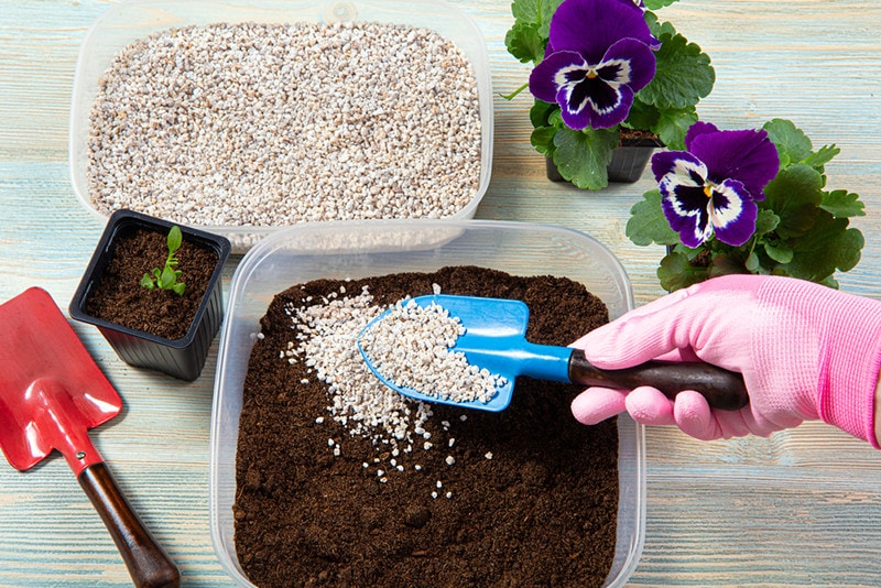 Soil with Perlite