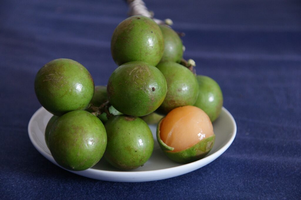 Spanish Lime