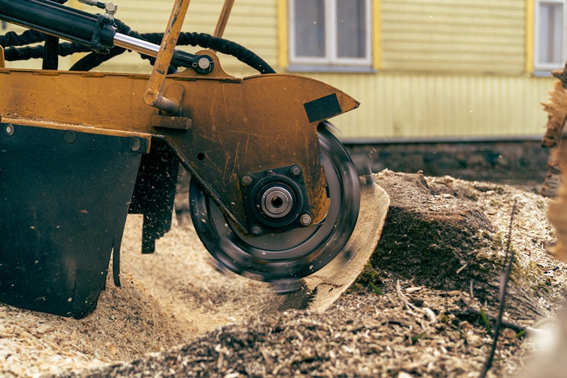 Tree Stump Removal