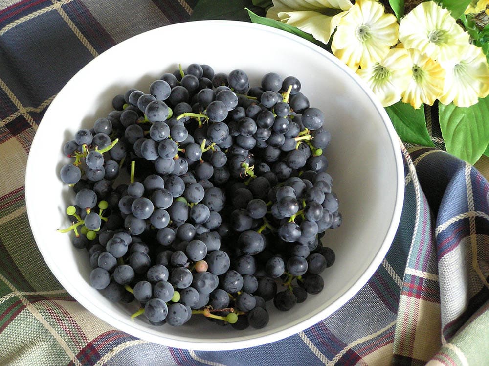 Valiant grapes