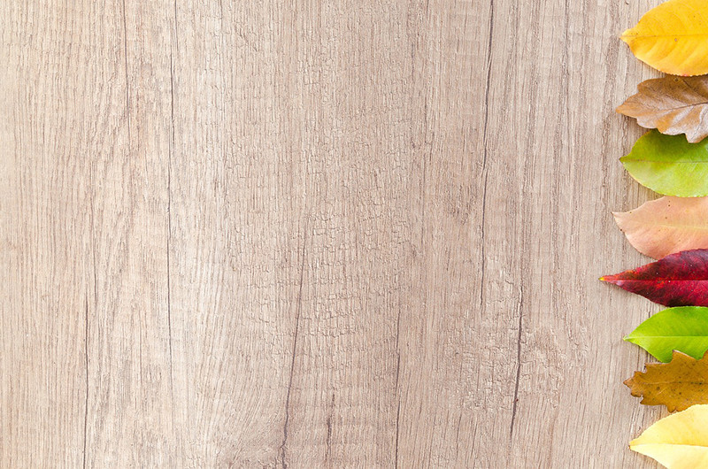White Oak Wood