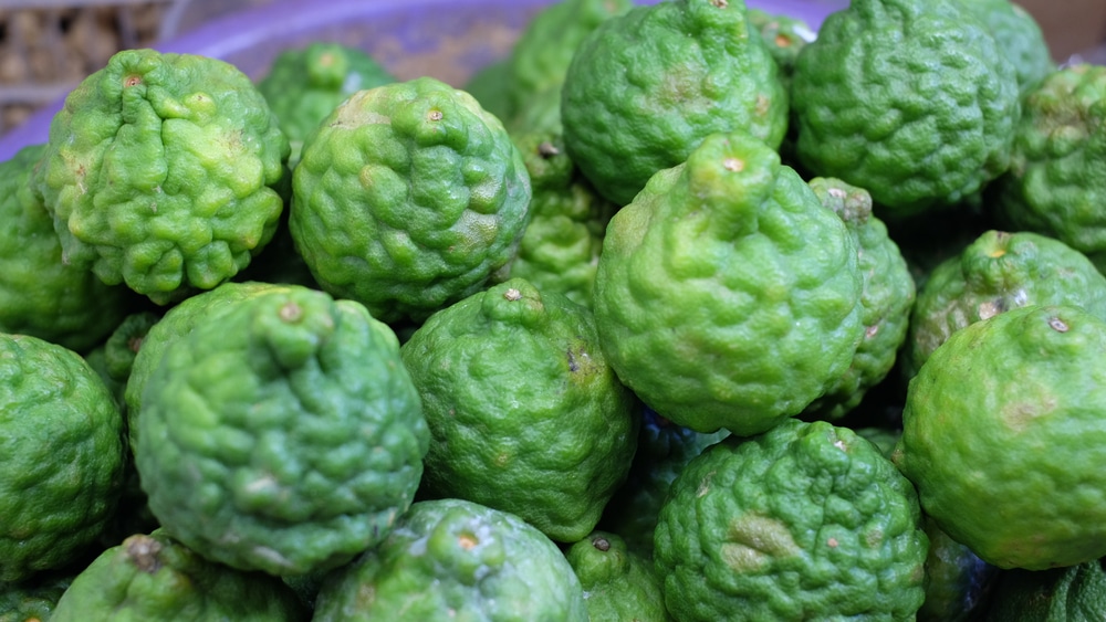 Wild Lime