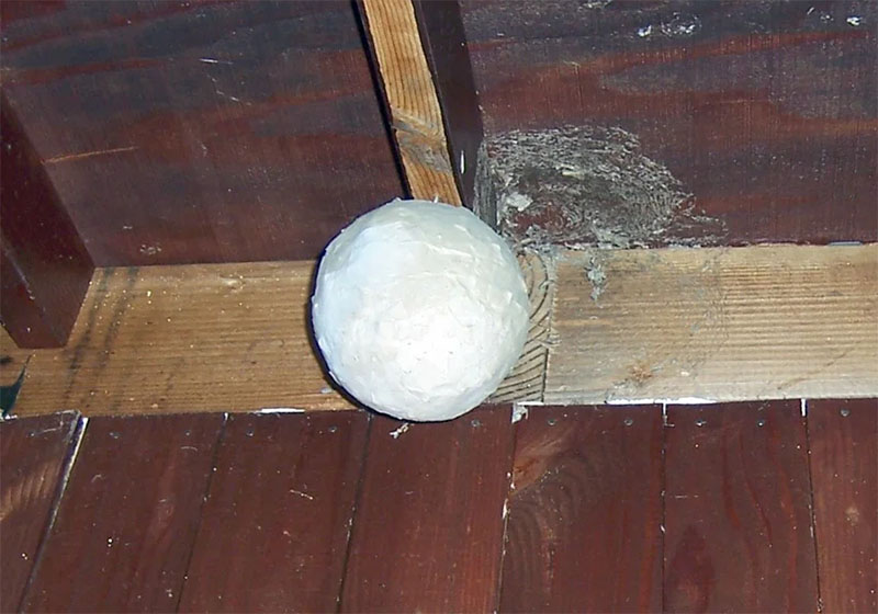 Yellowjacket Wasp Decoy Nest