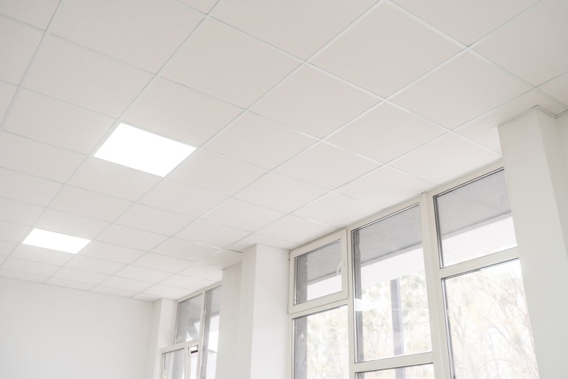 acoustic ceiling tiles