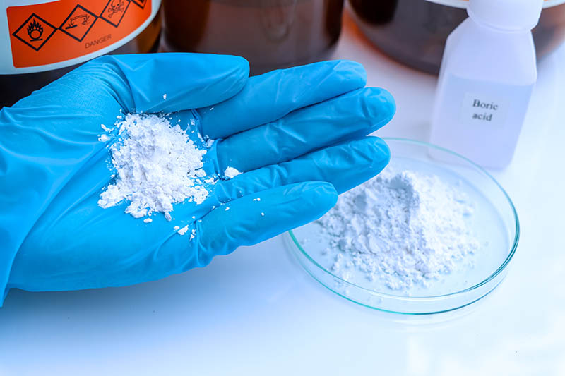 boric acid in powder form