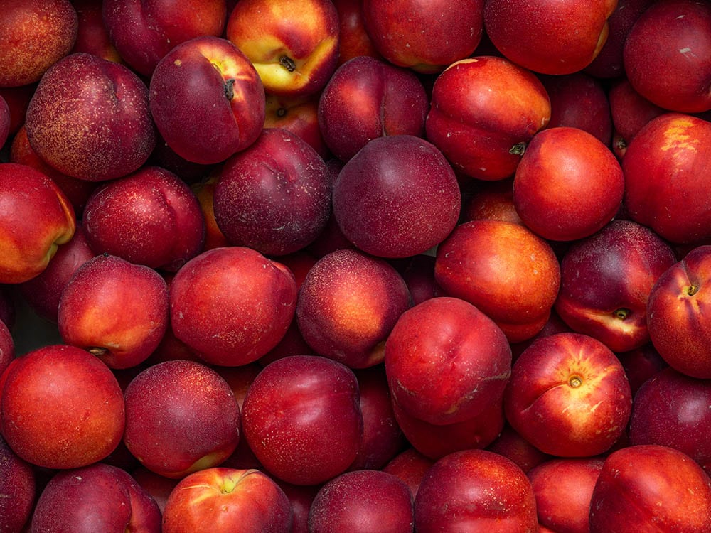 bright red nectarine