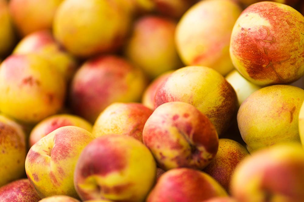 bunch of nectarines