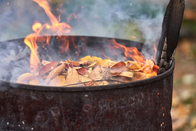 burning leaves in metal barrel