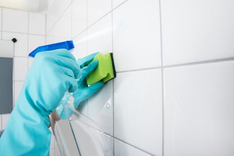 cleaning bathroom tiles