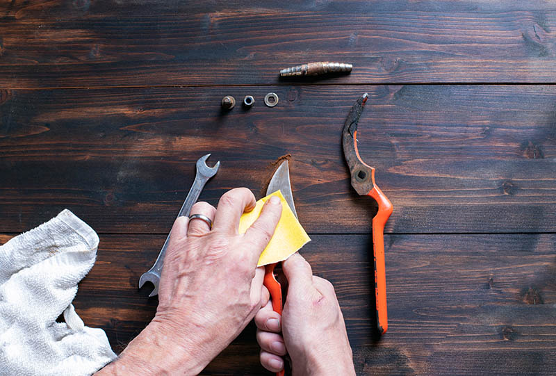 cleaning secateurs