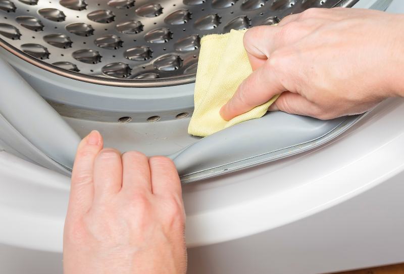 cleaning the rubber drum gasket of the washing machine