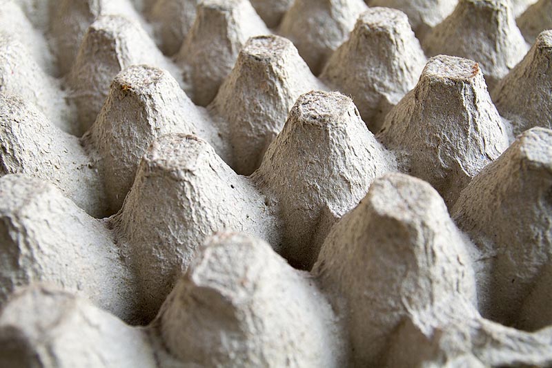 close up egg tray carton