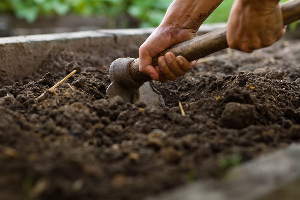 compacted soil