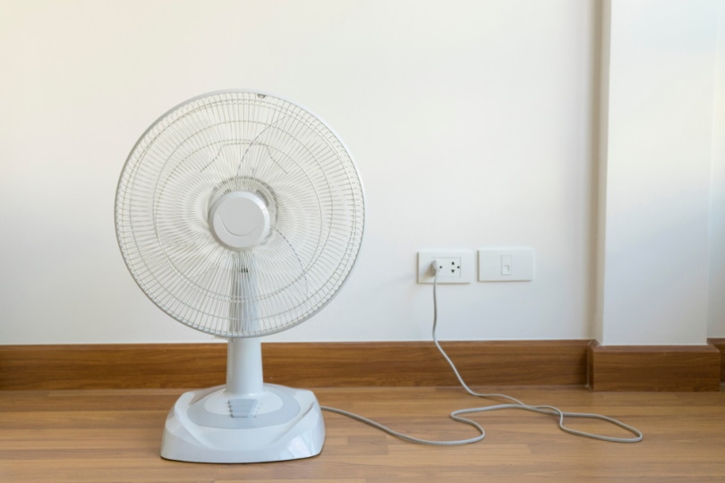 electric fan