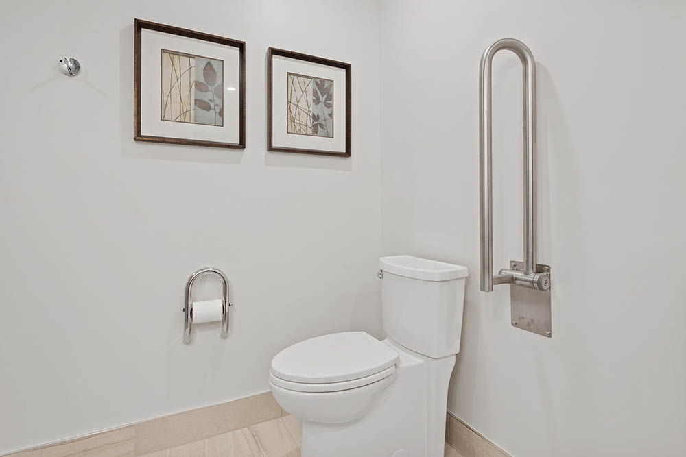 elongated toilet with wall handle for pwd