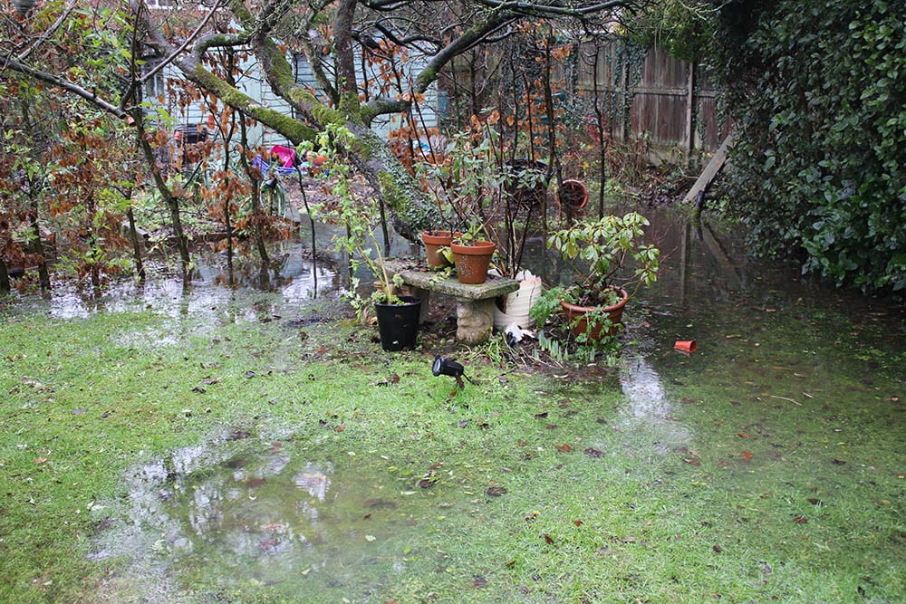 flooded garden