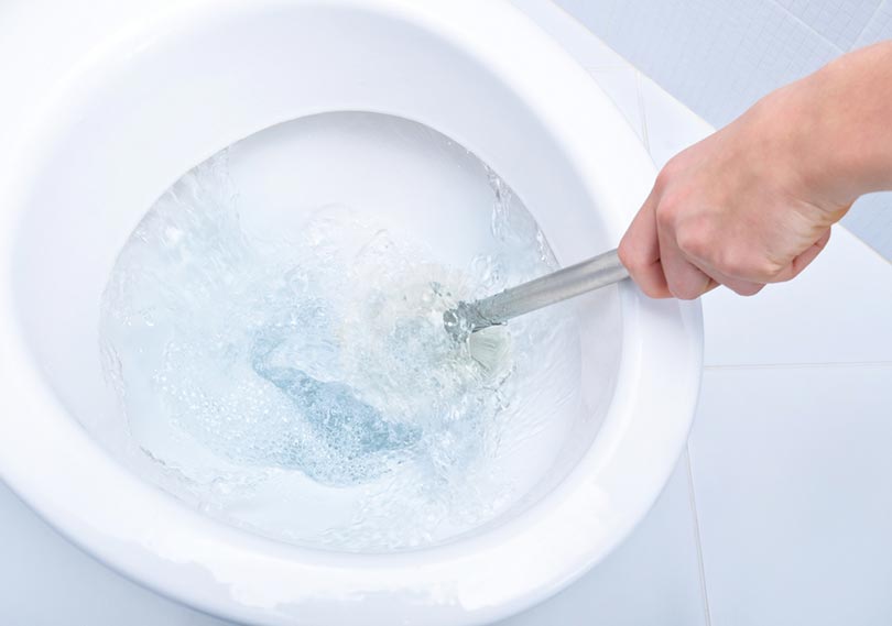 hand brushing the toilet with water