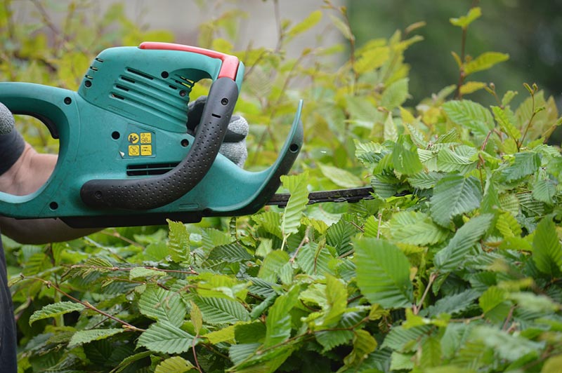 hedge trimmer