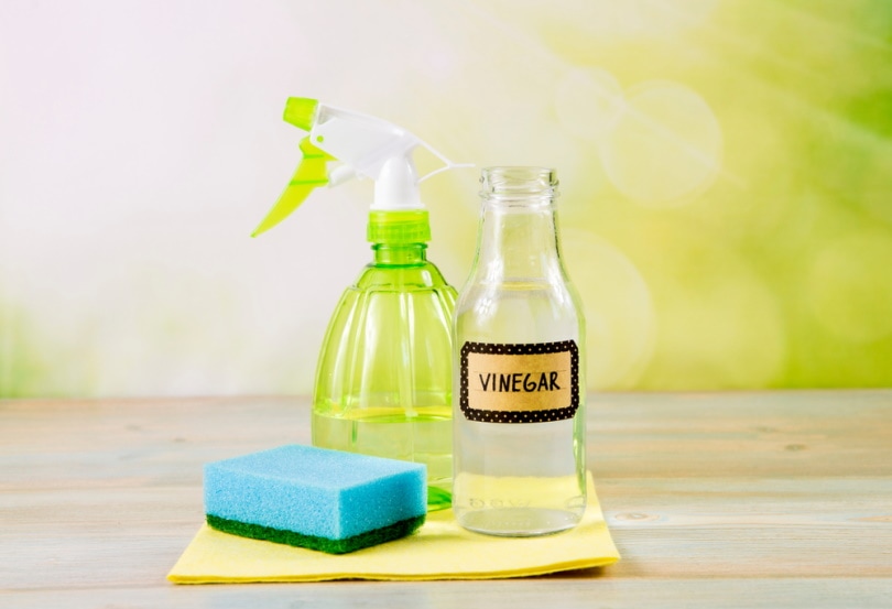 home cleaner products