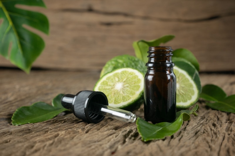 kaffir lime essential oil
