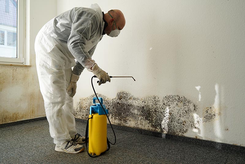 man doing mold remediation