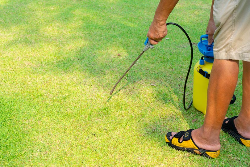 man preparing the sprayer