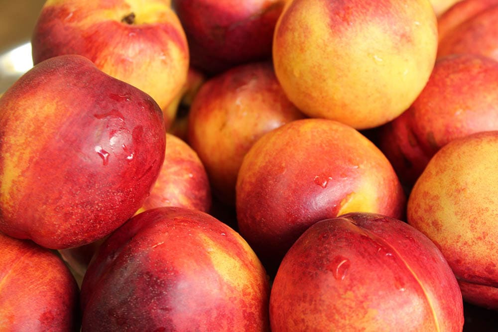 nectared 2 nectarine