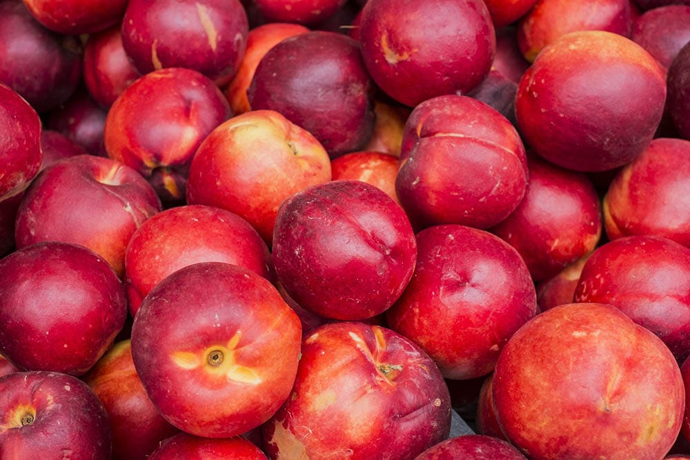 nectared 5 nectarine