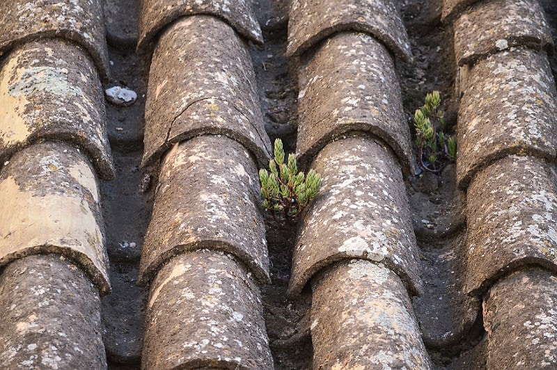 old clay roof tiles