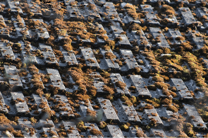 old concrete roof tiles