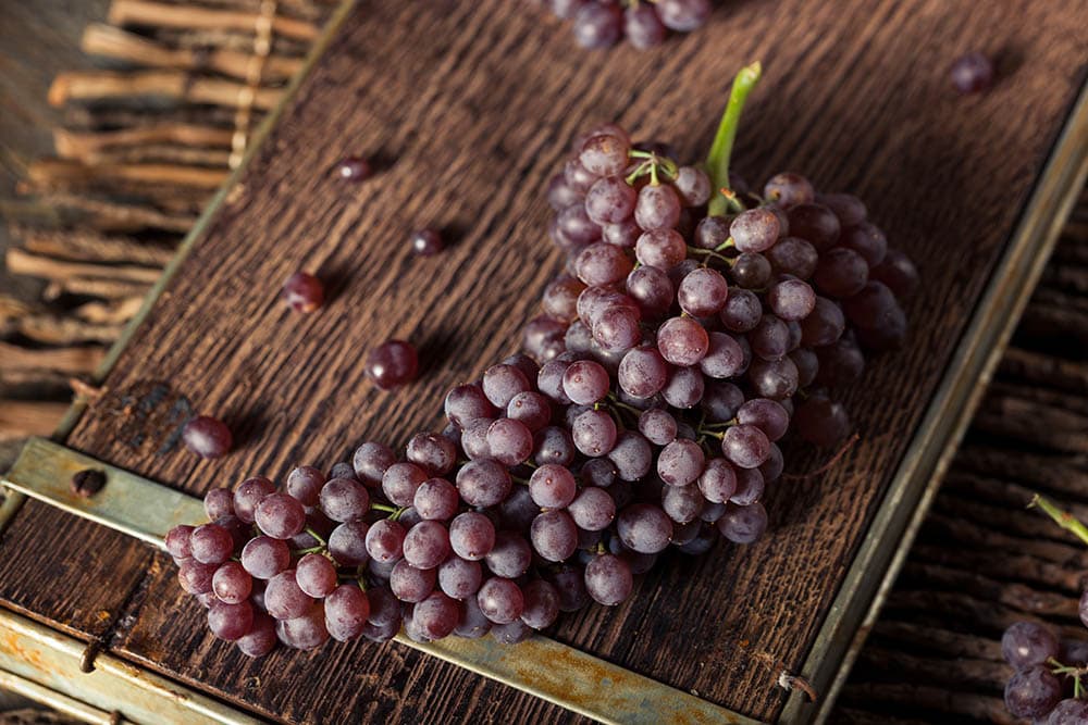 organic champagne grapes
