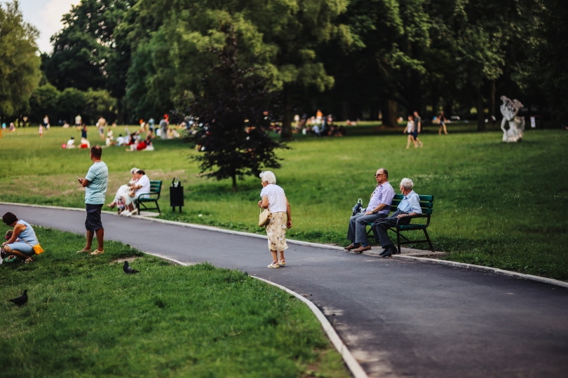 people in the park