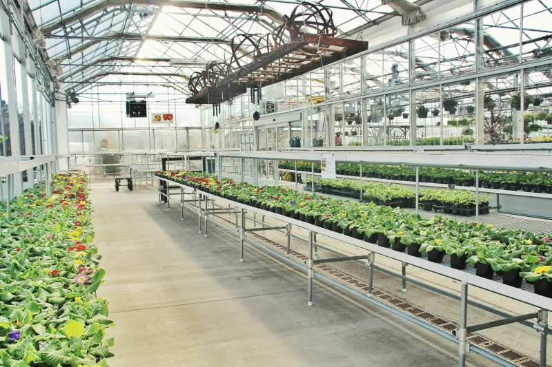 plant nursery
