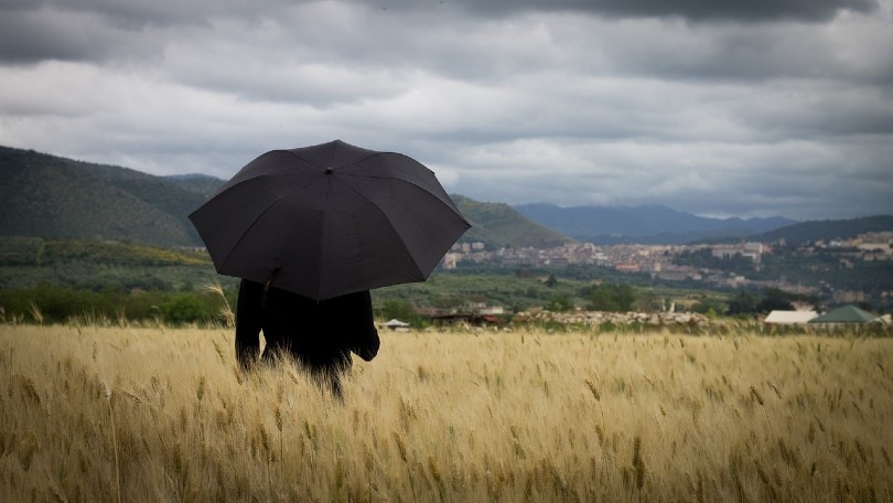 rainy weather in a field