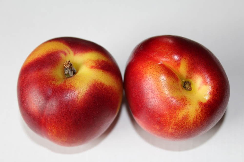 red nectarines